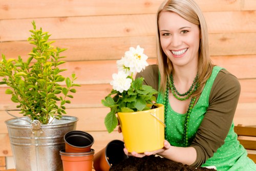 Efficient drip irrigation system in a Richmond garden