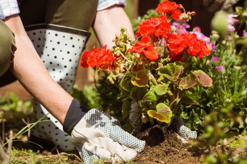 Inspector reviewing a garden during a service dispute investigation