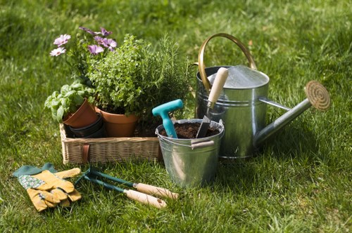 Lush Richmond garden with native plants